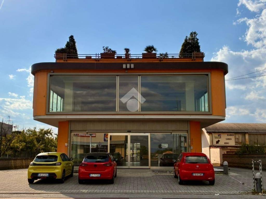 negozio in affitto a Quarrata in zona Olmi