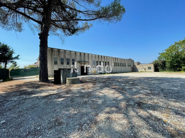 capannone in affitto a Serravalle Pistoiese in zona Cantagrillo