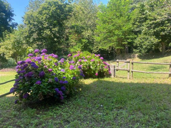 appartamento in affitto ad Abetone Cutigliano in zona Doganaccia