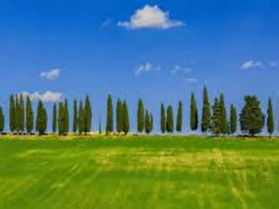 terreno in affitto a Borgo San Lorenzo