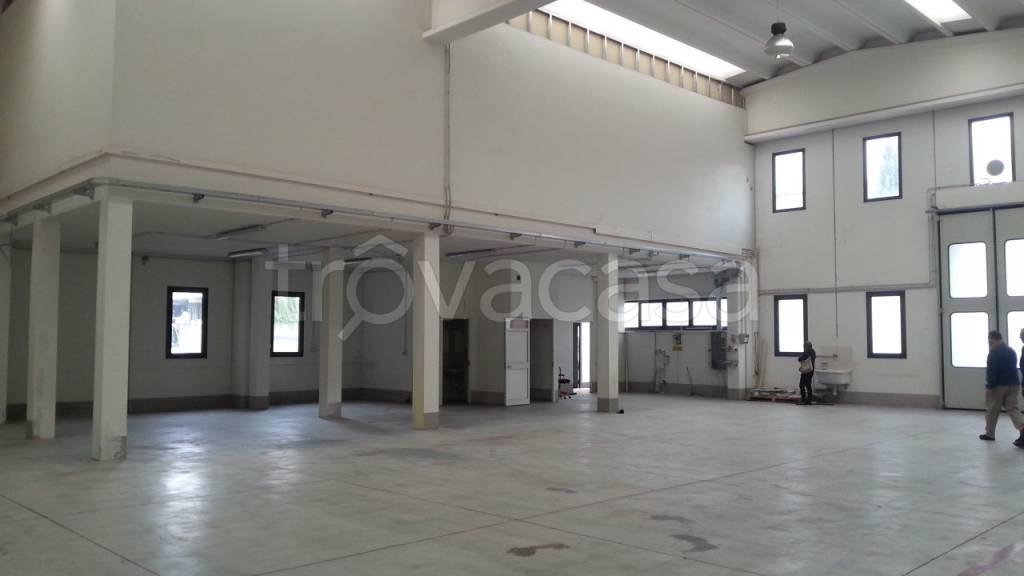 locale commerciale in affitto a Calenzano