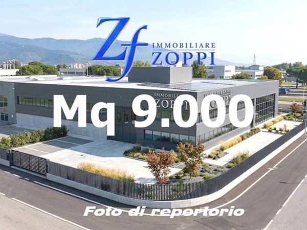 immagine annuncio 0 di 5
