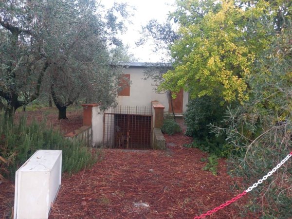 locale commerciale in affitto a Calenzano