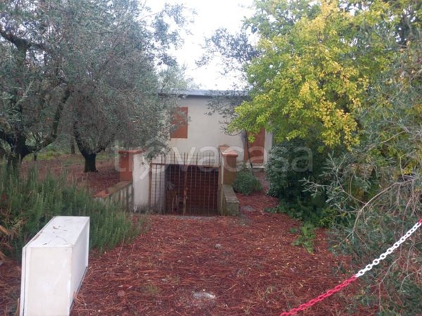 locale commerciale in affitto a Calenzano