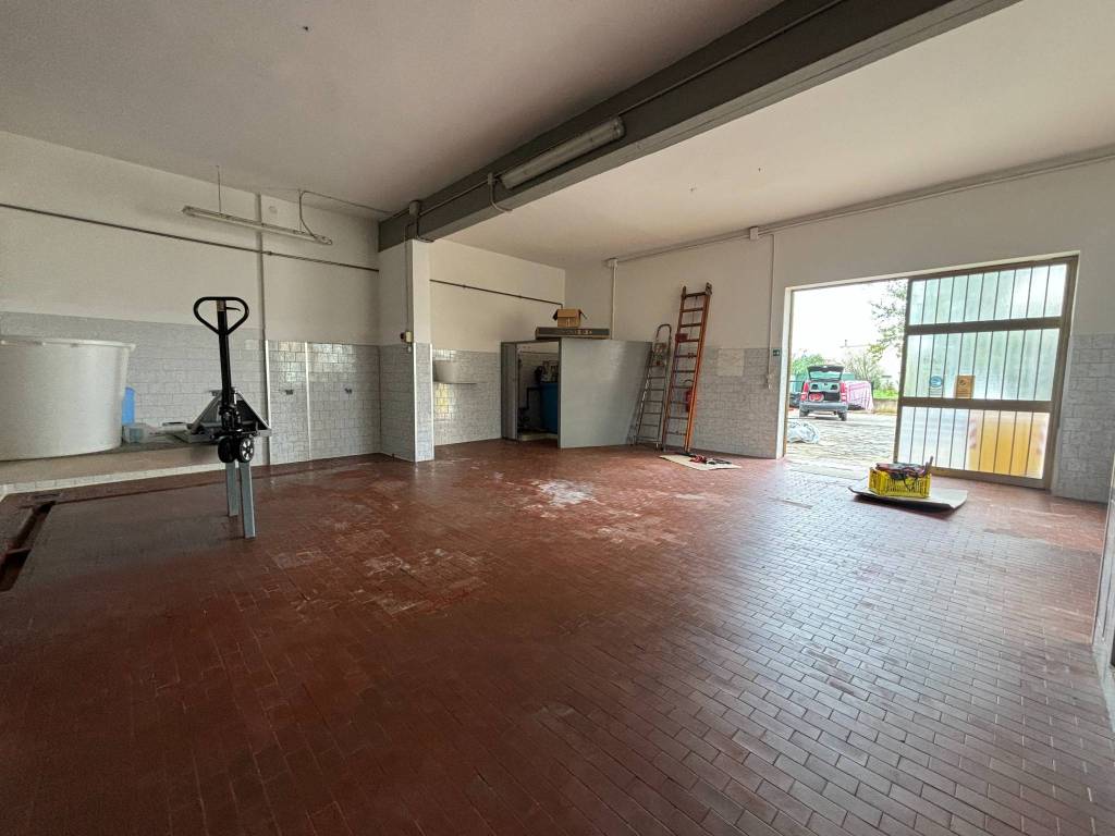 locale commerciale in affitto a Campi Bisenzio in zona San Cresci