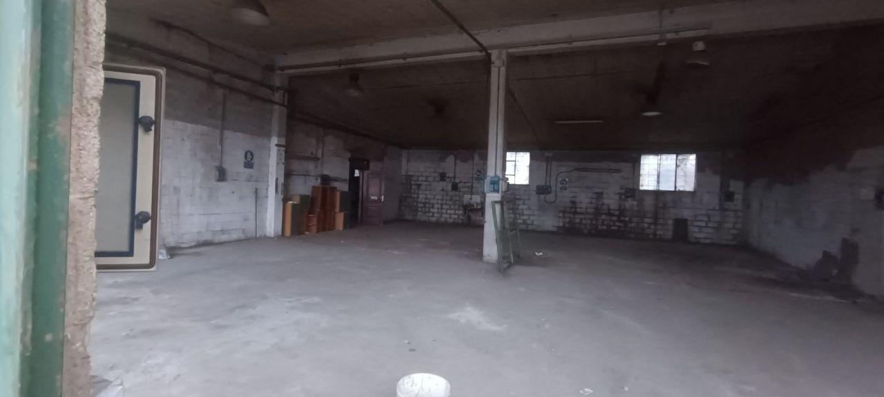 appartamento in affitto a Campi Bisenzio in zona San Donnino