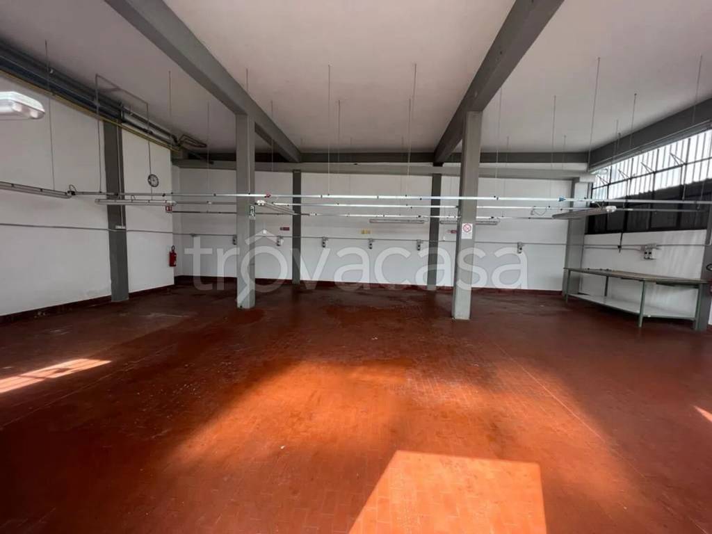 appartamento in affitto a Campi Bisenzio in zona Capalle