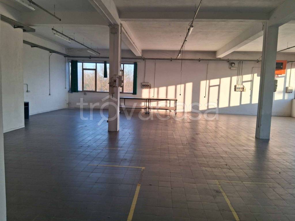 locale commerciale in affitto a Campi Bisenzio in zona San Donnino