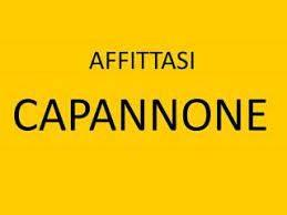 capannone in affitto a Capraia e Limite