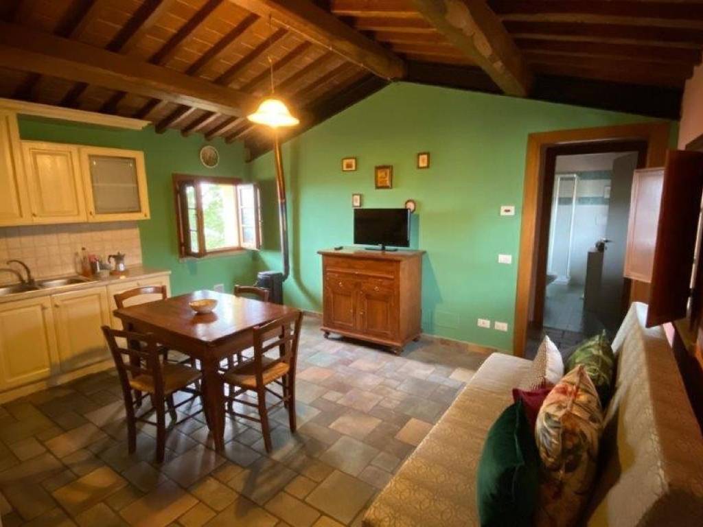 appartamento in affitto a Capraia e Limite in zona Castra