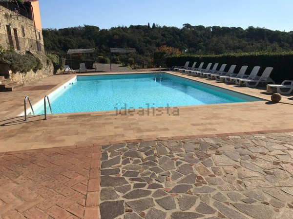 appartamento in affitto a Capraia e Limite