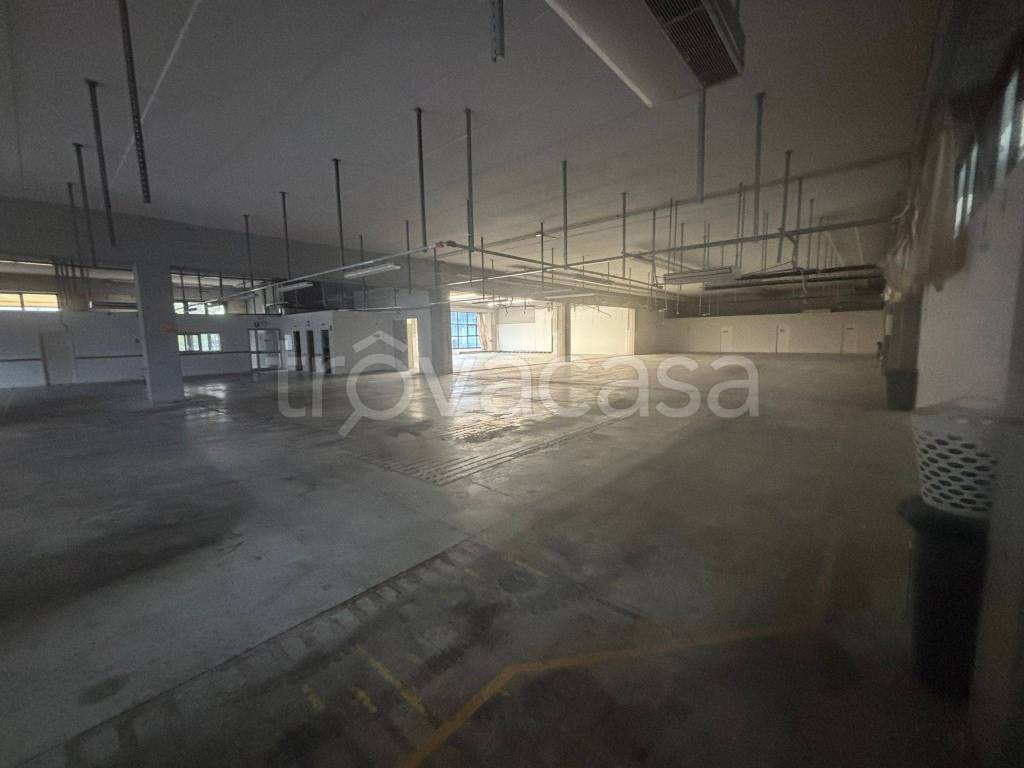 locale commerciale in affitto a Capraia e Limite in zona Limite sull' Arno