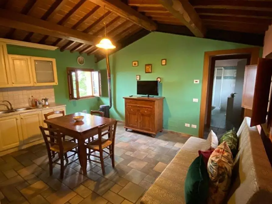 appartamento in affitto a Capraia e Limite in zona Limite sull' Arno