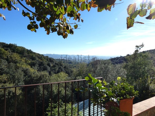 appartamento in affitto a Capraia e Limite