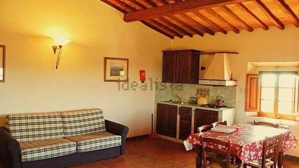 appartamento in affitto a Capraia e Limite in zona Castra