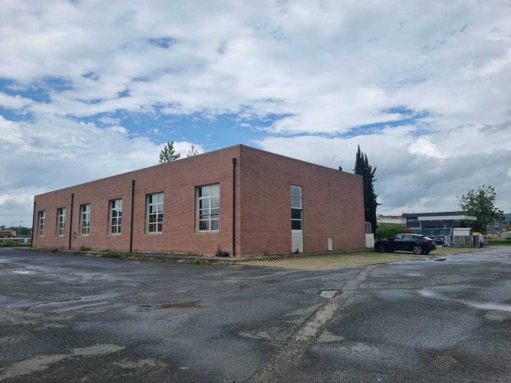 negozio in affitto a Castelfiorentino in zona Petrazzi