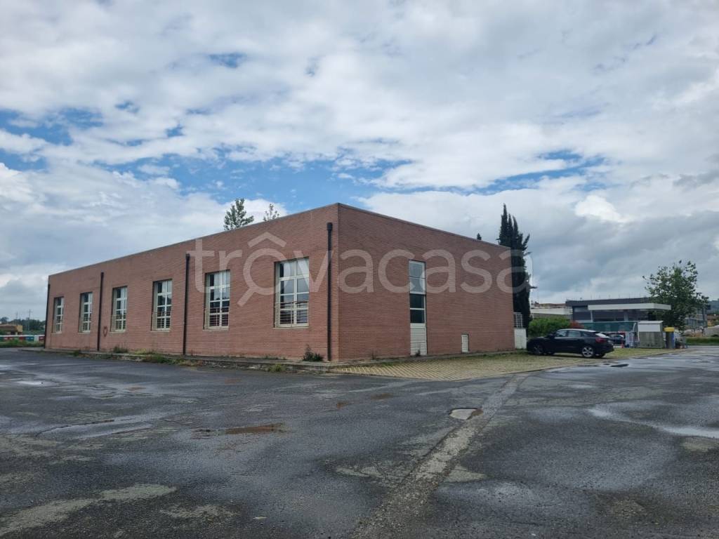 negozio in affitto a Castelfiorentino in zona Petrazzi