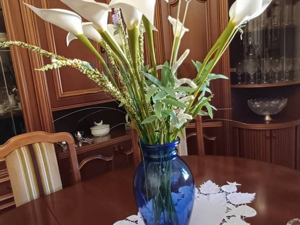 appartamento in affitto a Castelfiorentino