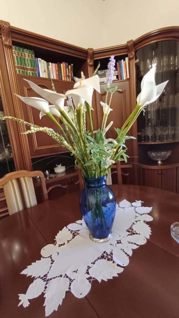 appartamento in affitto a Castelfiorentino