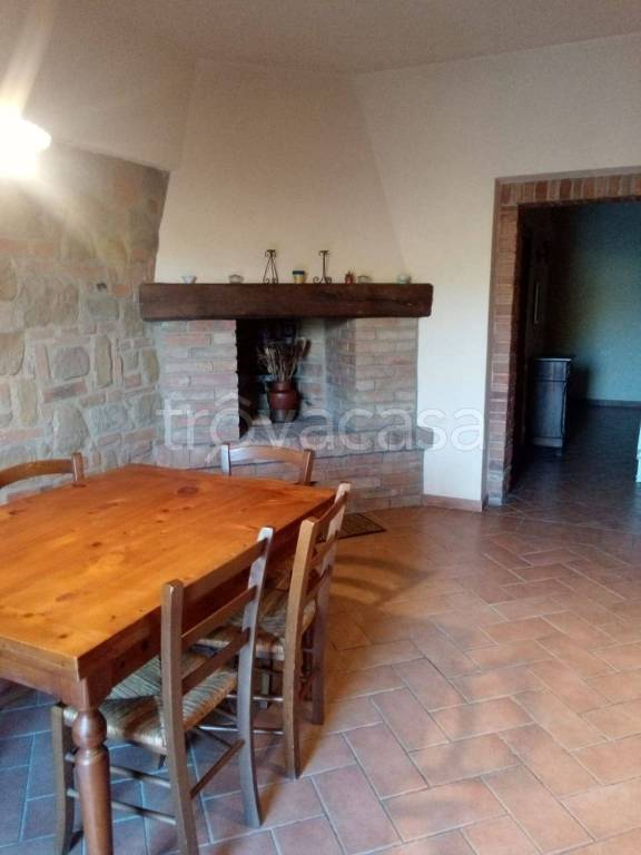 appartamento in affitto a Castelfiorentino