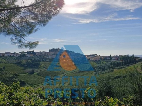 appartamento in affitto a Cerreto Guidi