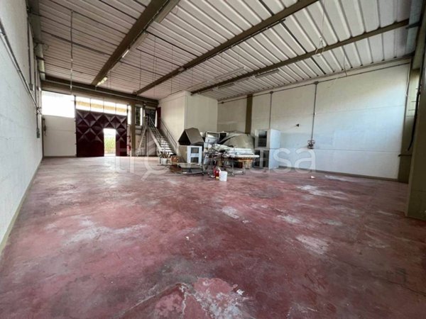 appartamento in affitto a Certaldo