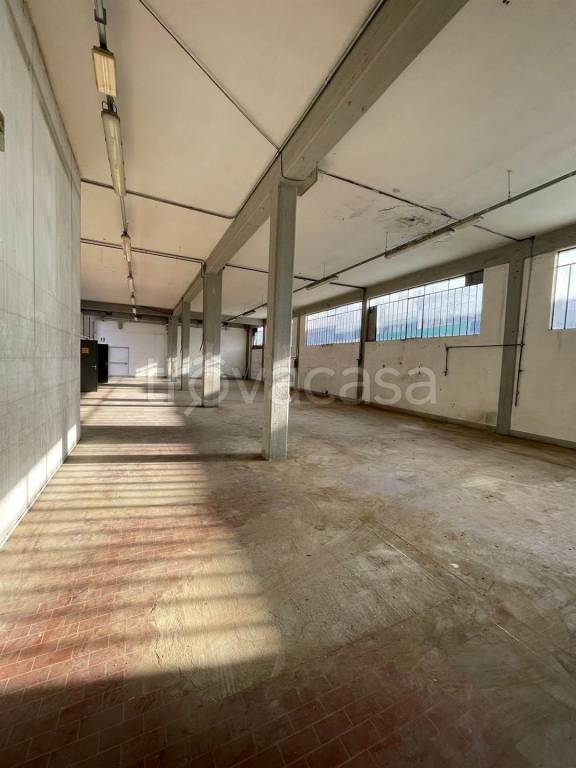 negozio in affitto a Certaldo