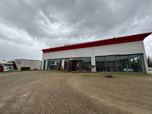 negozio in affitto a Certaldo