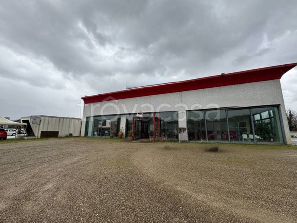 negozio in affitto a Certaldo