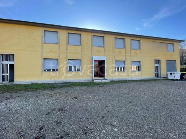 locale commerciale in affitto a Certaldo