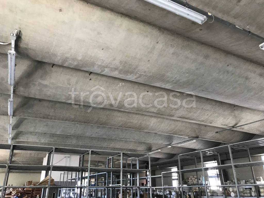 negozio in affitto ad Empoli
