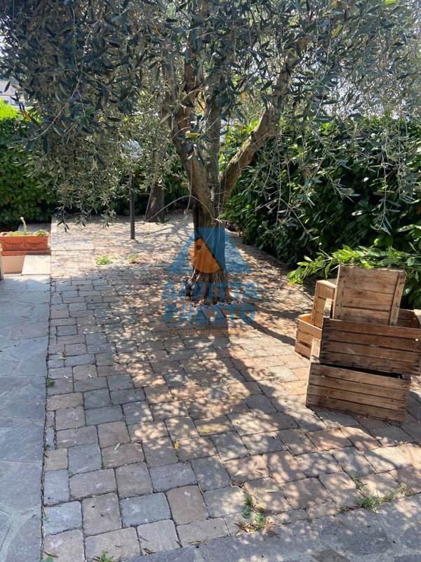 casa indipendente in affitto ad Empoli