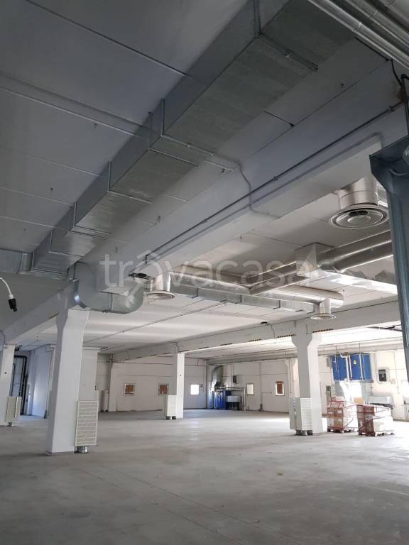 negozio in affitto ad Empoli