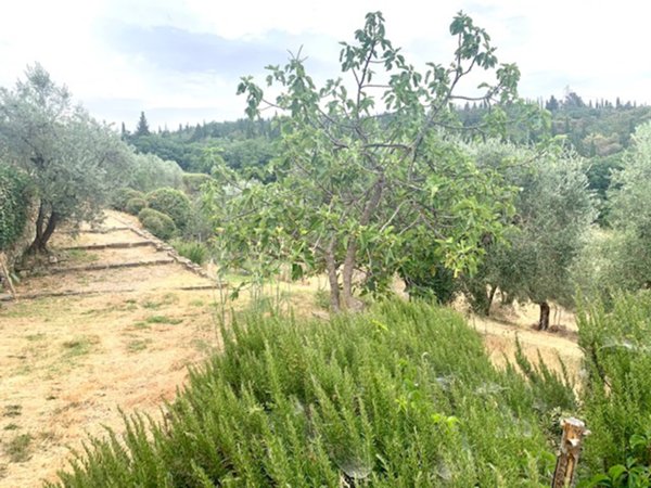 appartamento in affitto a Fiesole in zona San Domenico