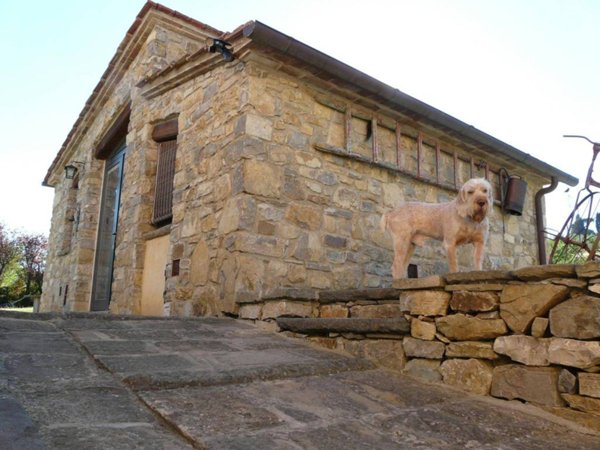 casa semindipendente in affitto a Fiesole