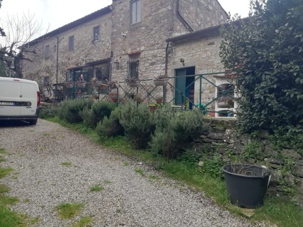 pentavano in affitto a Fiesole