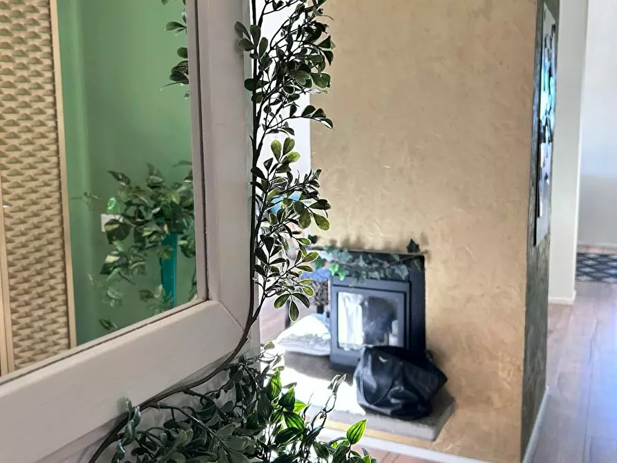 appartamento in affitto ad Agrate Conturbia