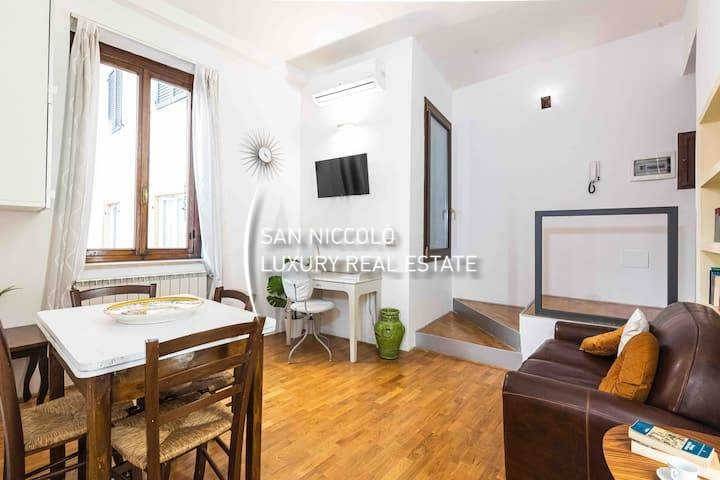 appartamento in affitto a Firenze in zona Centro San Frediano