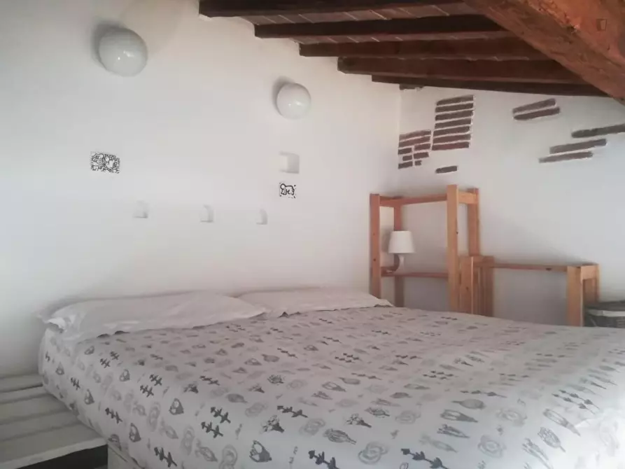 appartamento in affitto a Firenze in zona Centro Santa Croce