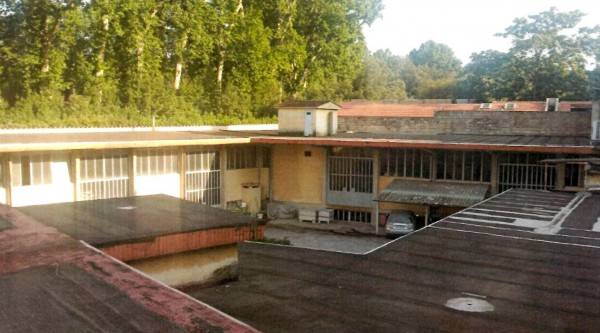 negozio in affitto a Firenze in zona Porta Romana