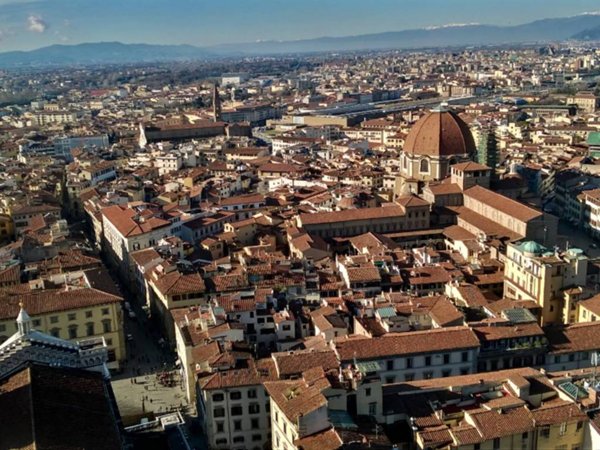 negozio in affitto a Firenze in zona Serpiolle