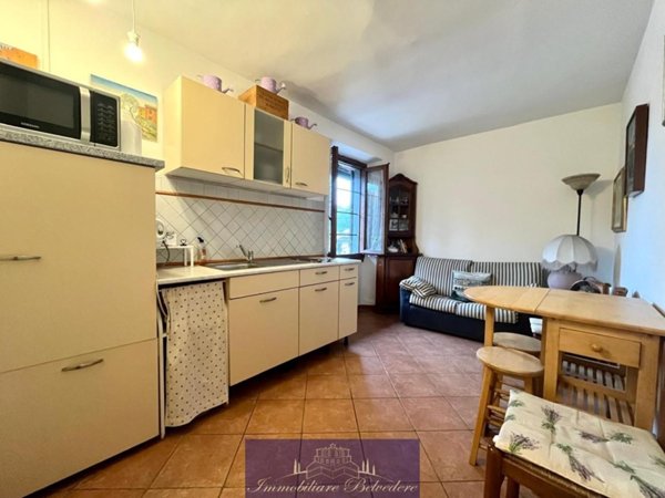 appartamento in affitto a Firenze in zona Centro San Frediano
