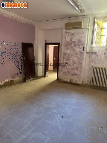 negozio in affitto a Firenze in zona Centro Storico