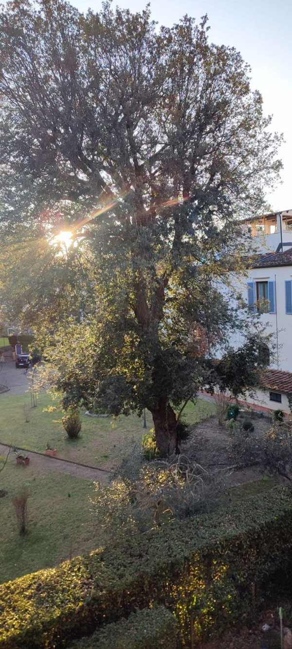 appartamento in affitto a Firenze in zona Centro San Frediano