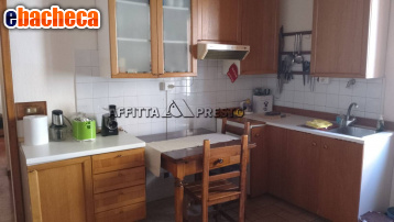 appartamento in affitto a Firenze in zona Centro Storico