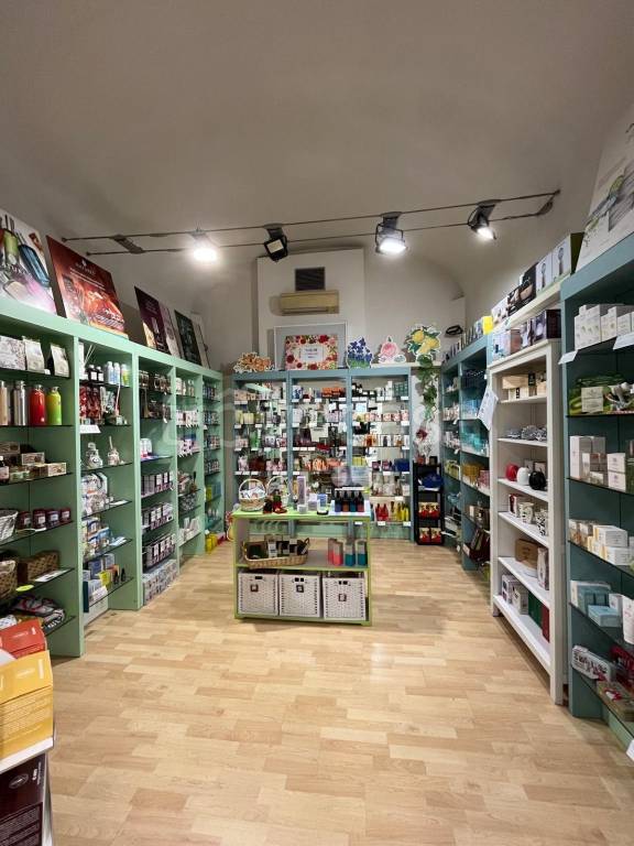 appartamento in affitto a Firenze in zona Porta Romana