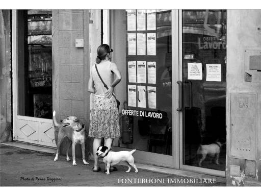 negozio in affitto a Firenze in zona Centro Storico
