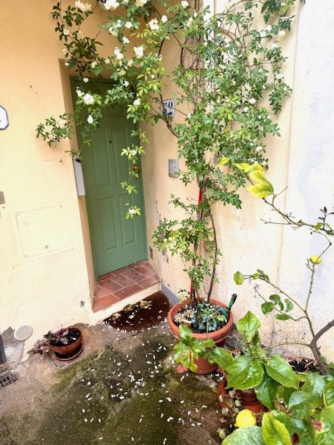 appartamento in affitto a Firenze in zona Settignano