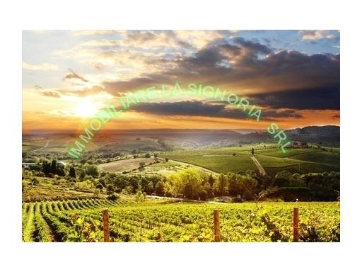 negozio in affitto a Firenze in zona Centro Storico