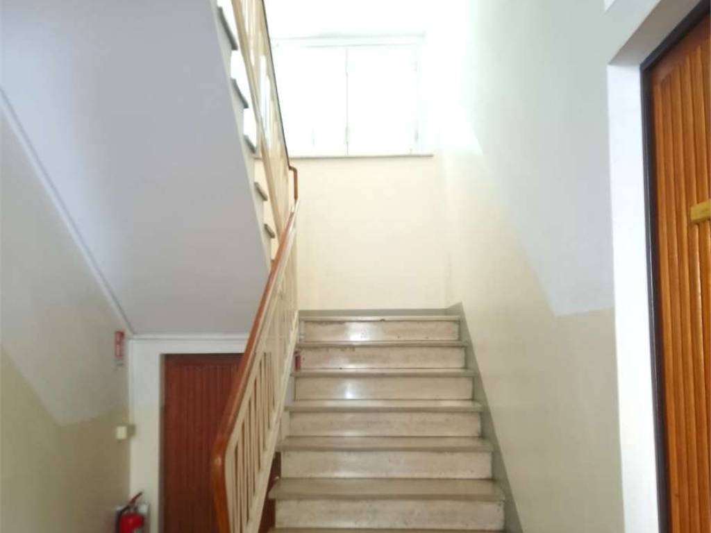 appartamento in affitto a Firenze in zona Novoli